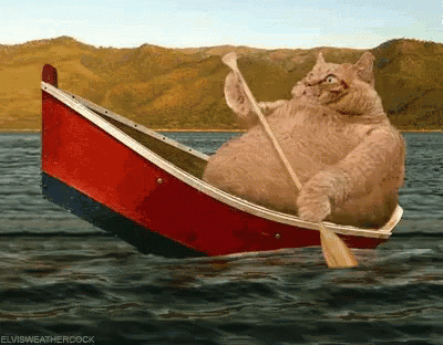A Cat Is In A Boat With A Paddle In The Water .. GIF