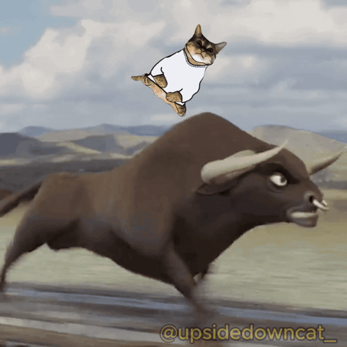 A Cat Is Jumping On Top Of A Bull With The Caption @Upsidedowncat GIF