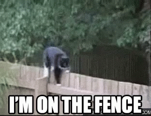A Cat Is Jumping Over A Fence With The Words `` I 'M On The Fence '' Below It . GIF