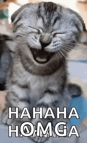 A Cat Is Laughing With Its Eyes Closed And The Words `` Hahaha Homga '' Written On The Bottom . GIF