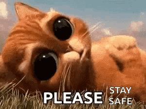 A Cat Is Laying In The Grass With The Words `` Please Stay Safe '' Written Next To It . GIF
