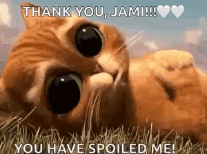 A Cat Is Laying In The Grass With The Words `` Thank You , Jami ! `` GIF
