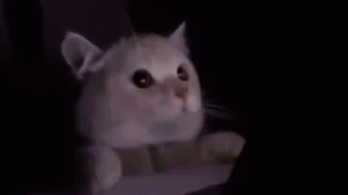 A Cat Is Laying On A Bed Next To A Tablet Computer . GIF