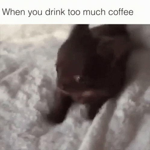 A Cat Is Laying On A Bed With A Caption That Says When You Drink Too Much Coffee . GIF