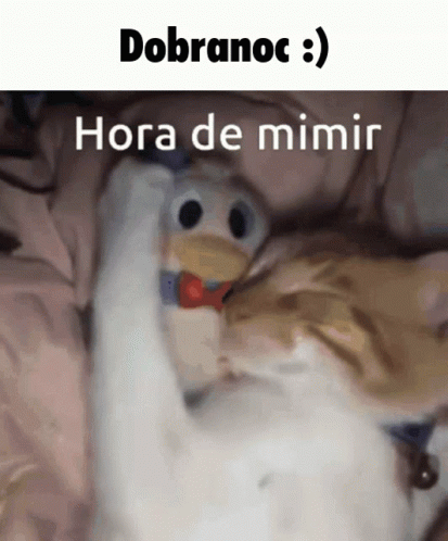 A Cat Is Laying On A Bed With A Stuffed Duck And The Words " Dobranoc " Written Above It GIF