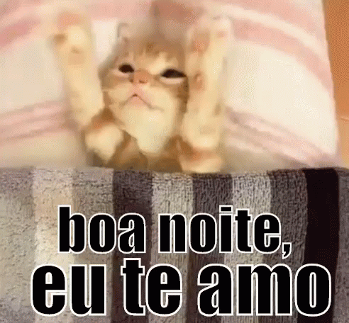 A Cat Is Laying On A Bed With The Words Boa Noite , Eu Te Amo Written On It . GIF