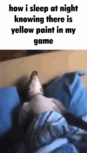 A Cat Is Laying On A Bed With The Words `` How I Sleep At Night Knowing There Is Yellow Paint In My Game '' Written On I GIF