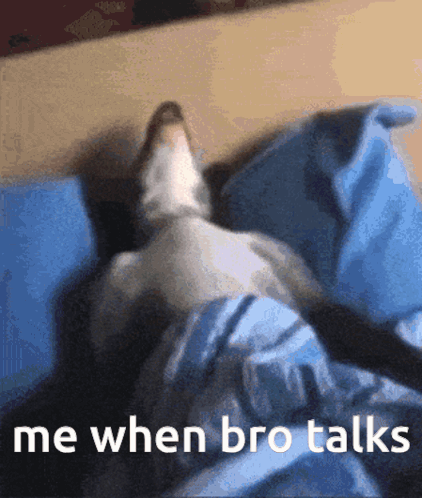 A Cat Is Laying On A Bed With The Words " Me When Bro Talks " Below It GIF