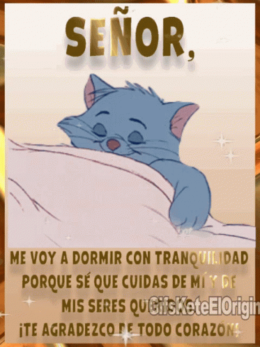 A Cat Is Laying On A Bed With The Words Señor Written Above It GIF