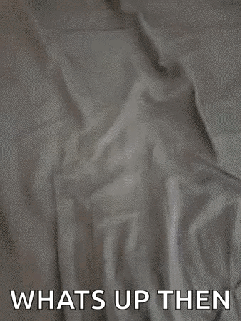 A Cat Is Laying On A Bed With The Words `` Whats Up Then '' Written Below It . GIF
