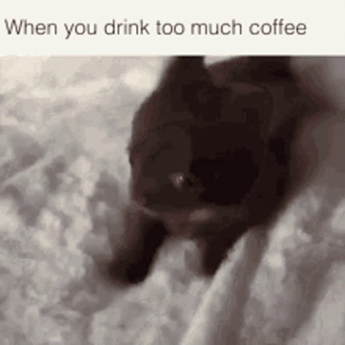 A Cat Is Laying On A Bed With The Words When You Drink Too Much Coffee On The Bottom GIF