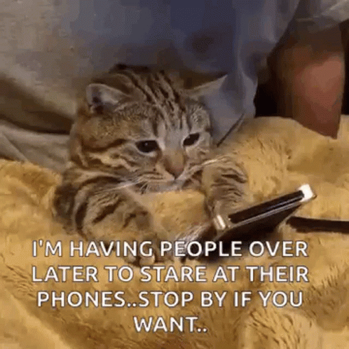 A Cat Is Laying On A Blanket With A Cell Phone In Its Paws . GIF