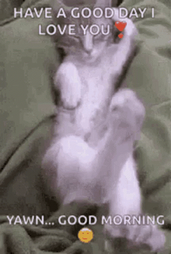A Cat Is Laying On A Blanket With A Heart On Its Paw . GIF