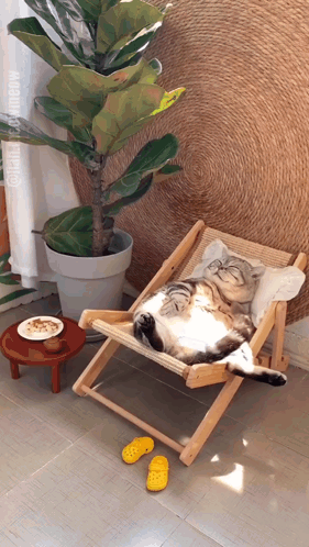 A Cat Is Laying On A Chair Next To A Plant GIF
