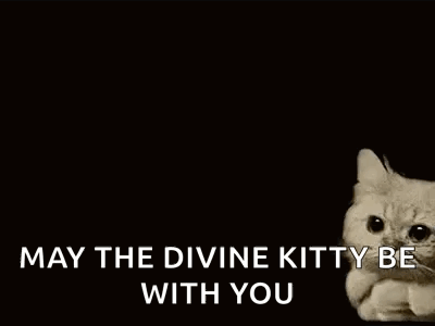 A Cat Is Laying On A Cloud With The Words `` May The Divine Kitty Be With You '' Written Below It . GIF
