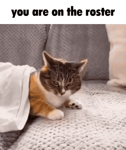 A Cat Is Laying On A Couch Under A Blanket With The Words " You Are On The Roster " Above It . GIF