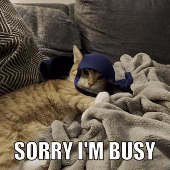 A Cat Is Laying On A Couch With A Caption That Says Sorry I M Busy GIF