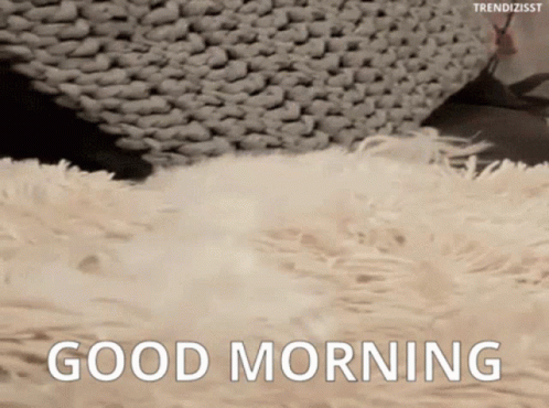 A Cat Is Laying On A Fluffy Blanket And Says Good Morning . GIF