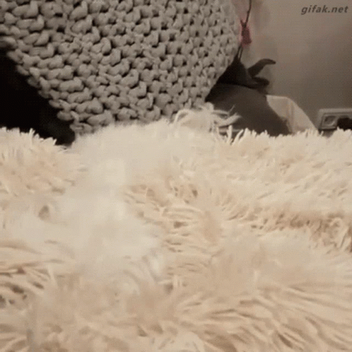 A Cat Is Laying On A Fluffy White Blanket .. GIF