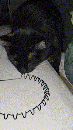 A Cat Is Laying On A Piece Of Paper With A Drawing Of A Spiral On It GIF