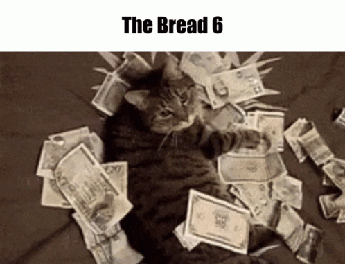 A Cat Is Laying On A Pile Of Money With The Words The Bread 6 Below It GIF