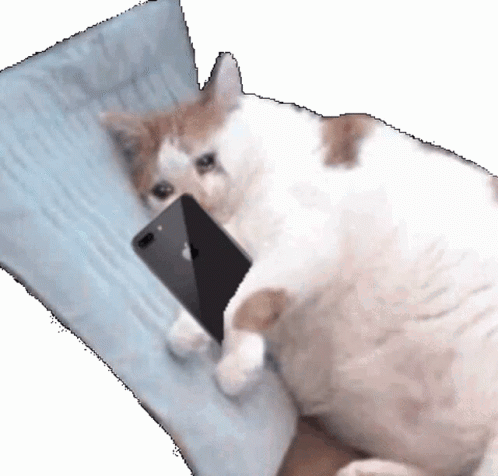 A Cat Is Laying On A Pillow Holding An Apple Phone GIF