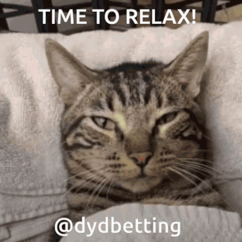 A Cat Is Laying On A Pillow With The Words Time To Relax Written Above It GIF