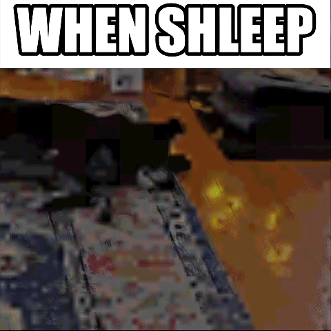 A Cat Is Laying On A Rug In A Living Room With The Words When Shleep Above It GIF
