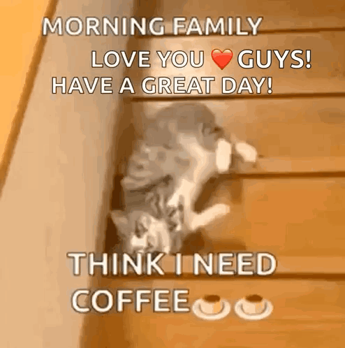A Cat Is Laying On A Set Of Stairs And Says Morning Family Love You Guys GIF