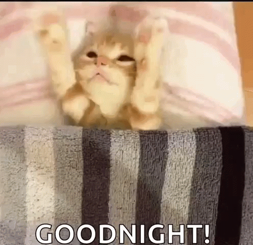 A Cat Is Laying On A Striped Towel With Its Paws Outstretched And Says Goodnight . GIF