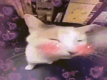 A Cat Is Laying On A Table With Its Eyes Closed And Hearts Flying Around It . GIF