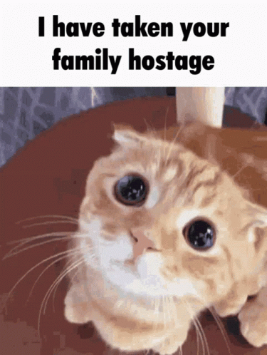 A Cat Is Laying On A Table With The Caption I Have Taken Your Family Hostage GIF