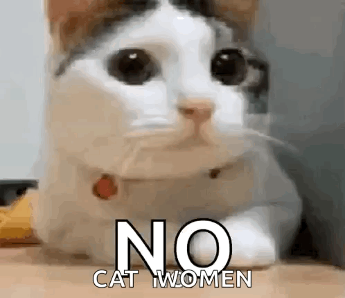 Cat Lying On Table With No Cat Women Text GIF