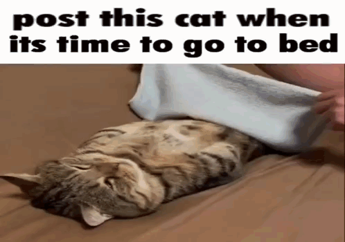 a cat is laying on its back on a bed with a towel on its head .