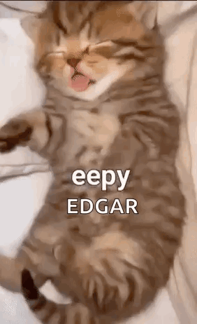A Cat Is Laying On Its Back On A Bed With Its Tongue Hanging Out . GIF