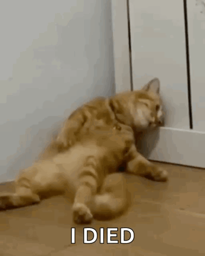 A Cat Is Laying On Its Back On The Floor Next To A Radiator . GIF