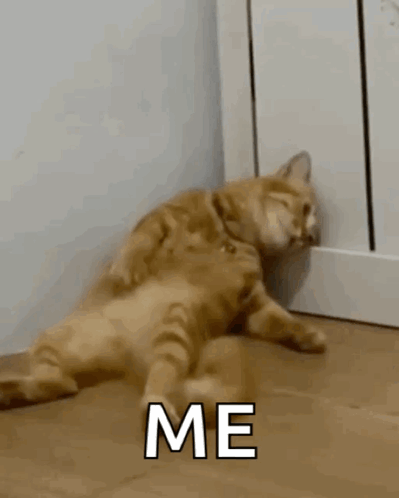A Cat Is Laying On Its Back On The Floor With The Words `` Me '' Written Next To It . GIF