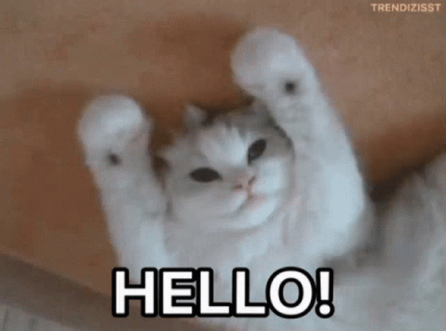 A Cat Is Laying On Its Back With Its Paws In The Air And Says Hello ! GIF