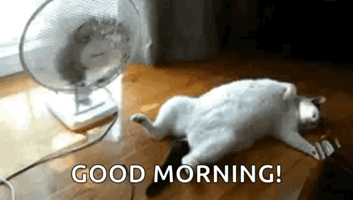 A Cat Is Laying On The Floor In Front Of A Fan And Says `` Good Morning '' . GIF