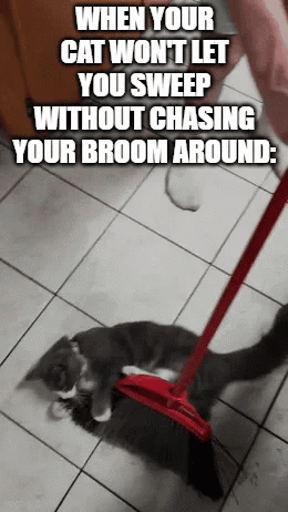 a cat is laying on the floor with a broom in its paws .