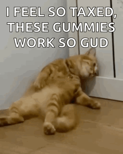 A Cat Is Laying On The Floor With A Caption That Reads `` I Feel So Taxed , These Gummies Work So Gud '' GIF