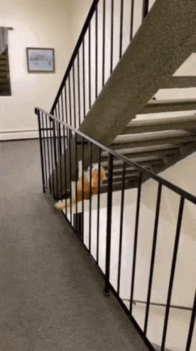 A Cat Is Laying On The Stairs Next To A Metal Railing . GIF