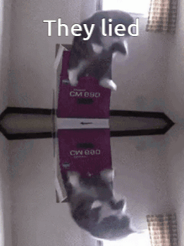 A Cat Is Laying On Top Of A Box That Says They Lied GIF