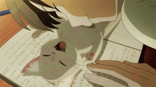A Cat Is Laying On Top Of A Notebook That Says ' The Customer ' GIF