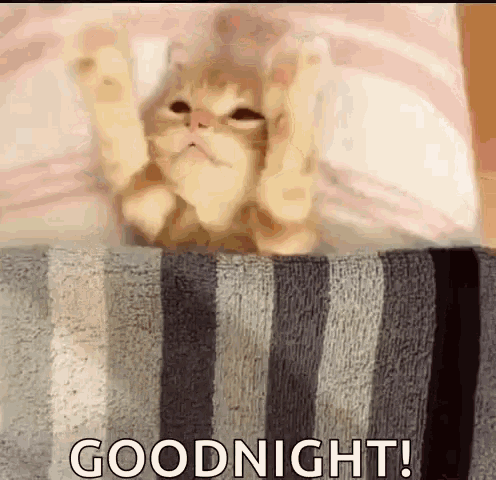 A Cat Is Laying On Top Of A Striped Blanket With Its Paws Up . GIF