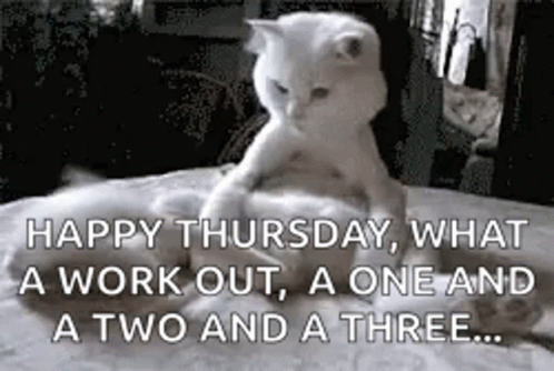 A Cat Is Laying On Top Of Another Cat On A Bed With A Quote . GIF