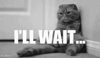 A Cat Is Leaning Against A Wall With The Words `` I 'Ll Wait '' Written Above It . GIF