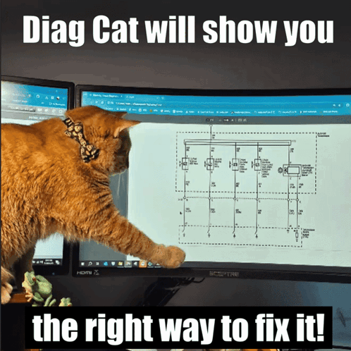 A Cat Is Looking At A Diagram On A Computer Screen With The Caption Diag Cat Will Show You The Right Way To Fix It GIF