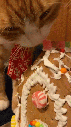 A Cat Is Looking At A Gingerbread House That Has Candy On It GIF