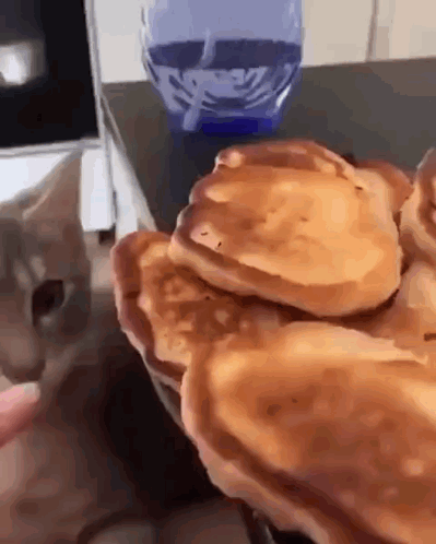 A Cat Is Looking At A Pile Of Pancakes On A Table . GIF